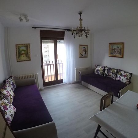 Violet Star Apartment Novi Sad Extérieur photo