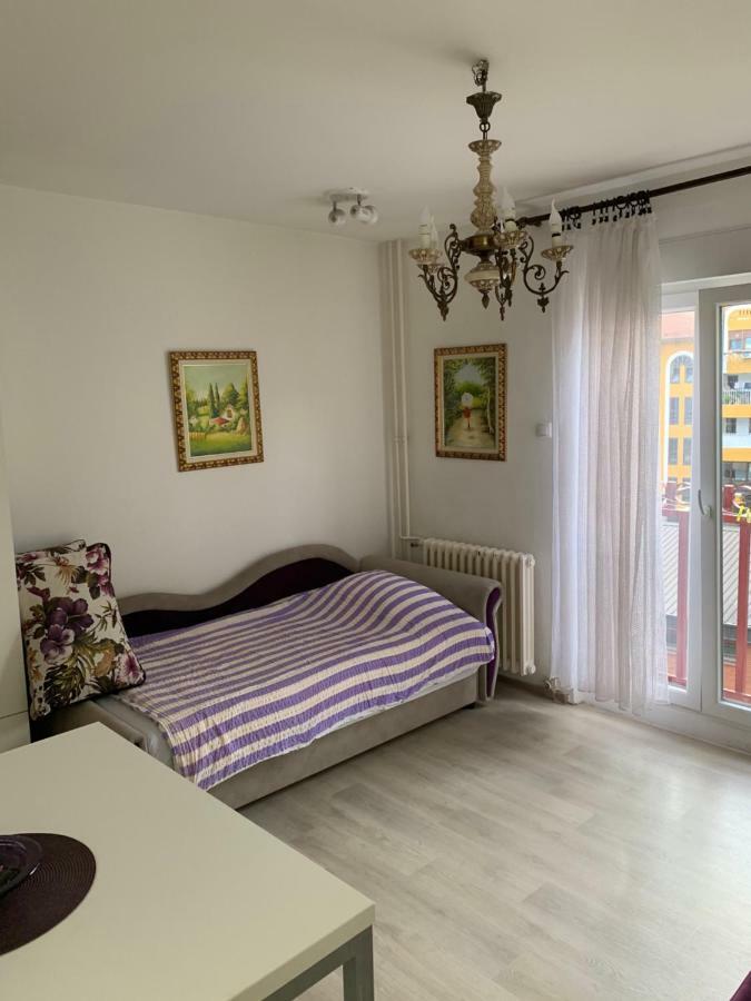 Violet Star Apartment Novi Sad Extérieur photo